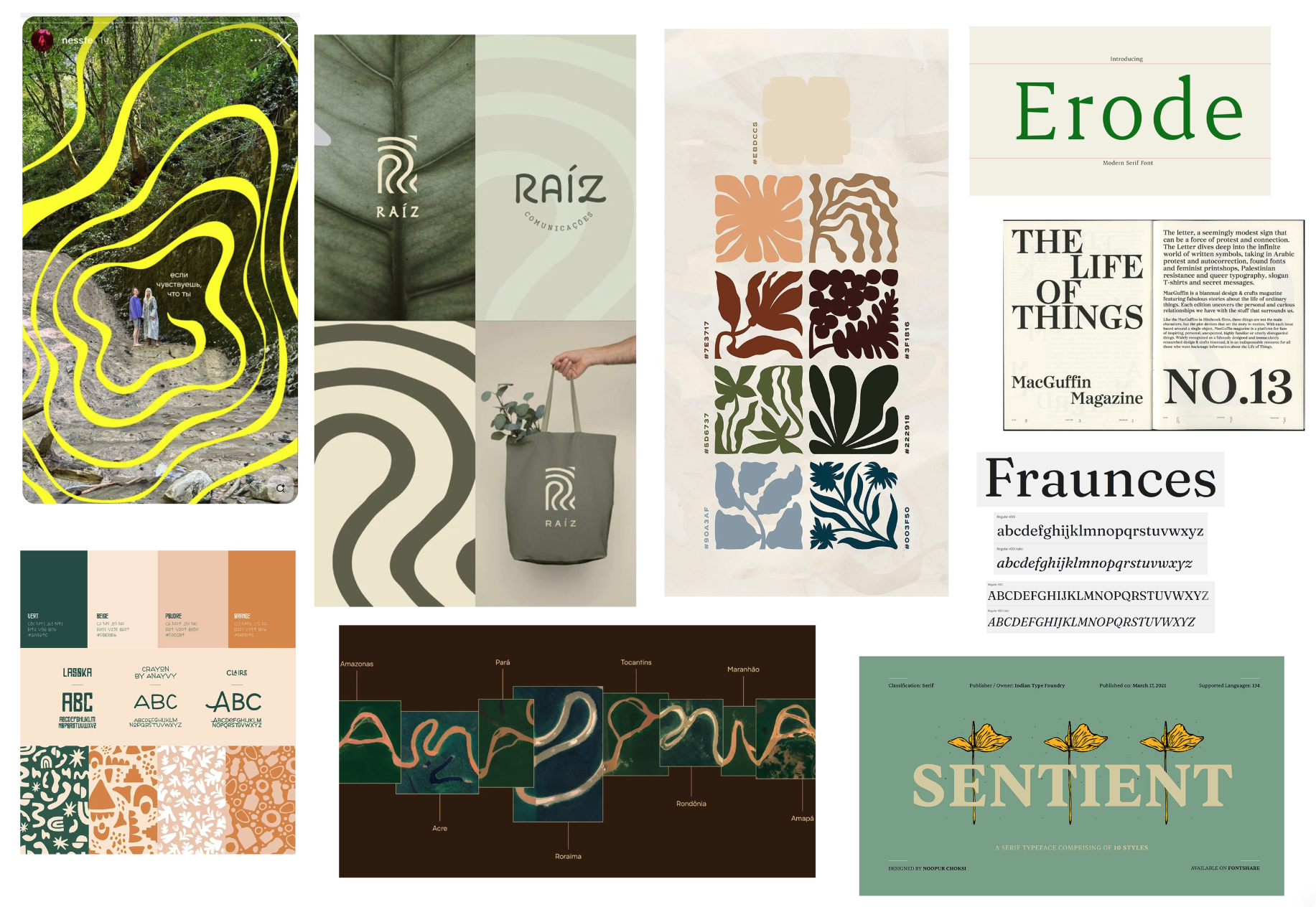 Roots moodboard — collage of references: Russian Instagram story with yellow organic outline over forest, Raíz brand identity, Matisse-like organic shape stack with hex codes, Erode and Fraunces serif typefaces, MacGuffin Magazine spread, color palette with display fonts, Amazon river satellite imagery, Sentient serif typeface poster.